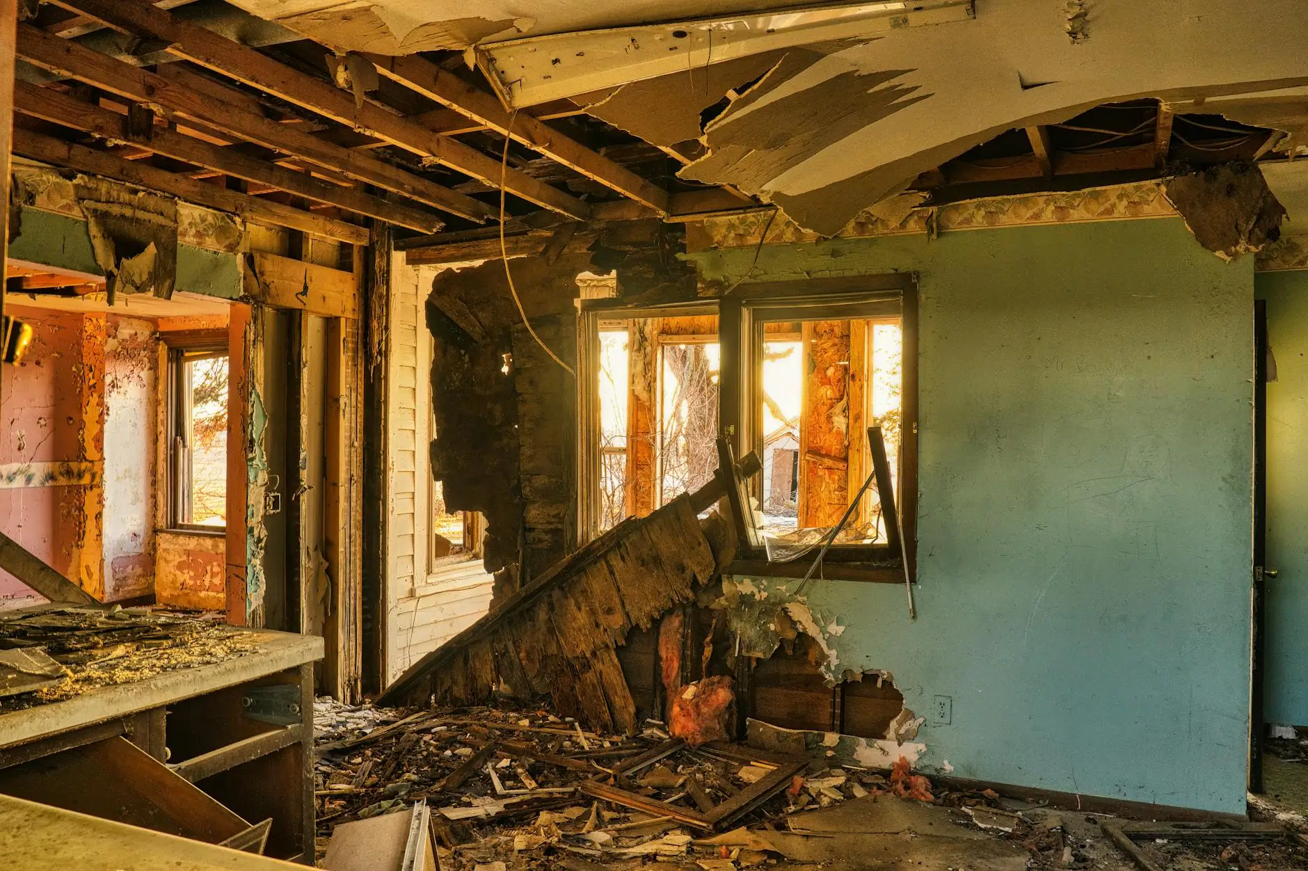 Utah Valley's Premier Mold Abatement Specialists — Orem, UT