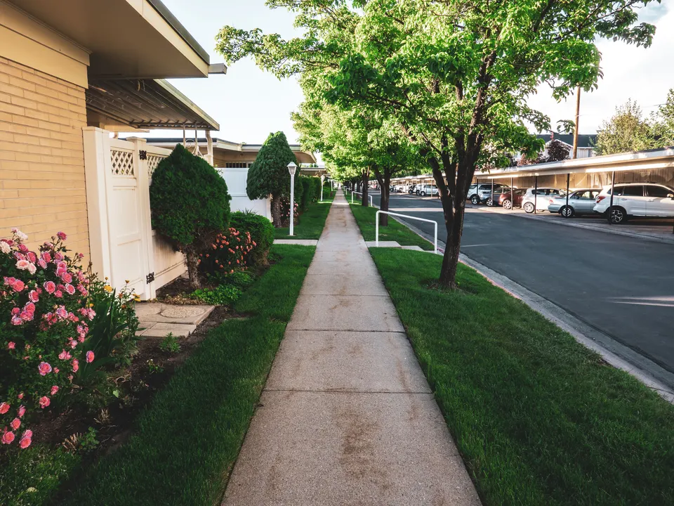 mold removal Spanish Fork