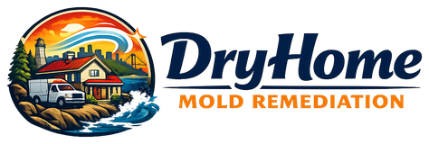 Dry Home Mold Remediation